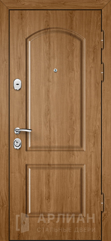 Фото «Дверь в дом №9»