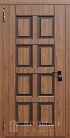 Фото №2 «Входная уличная дверь с накладкой и покрытием винорит №760»